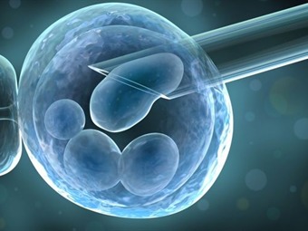 20141221611505654.jpg 20141221611505654.jpg